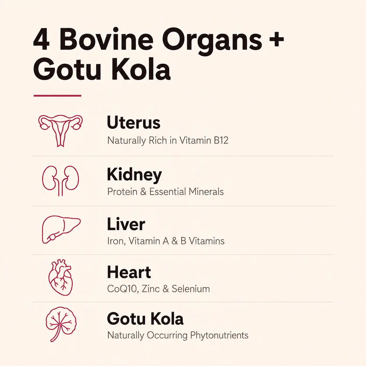 Beef Organs For Women