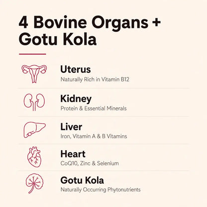 Beef Organs For Women